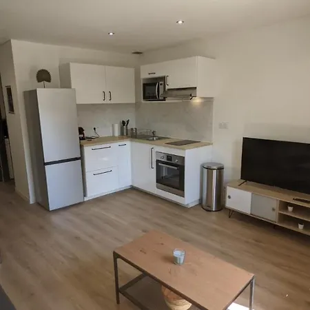 Le Gambetta : Magnifique T2 Dans Centre Historique Apartment *